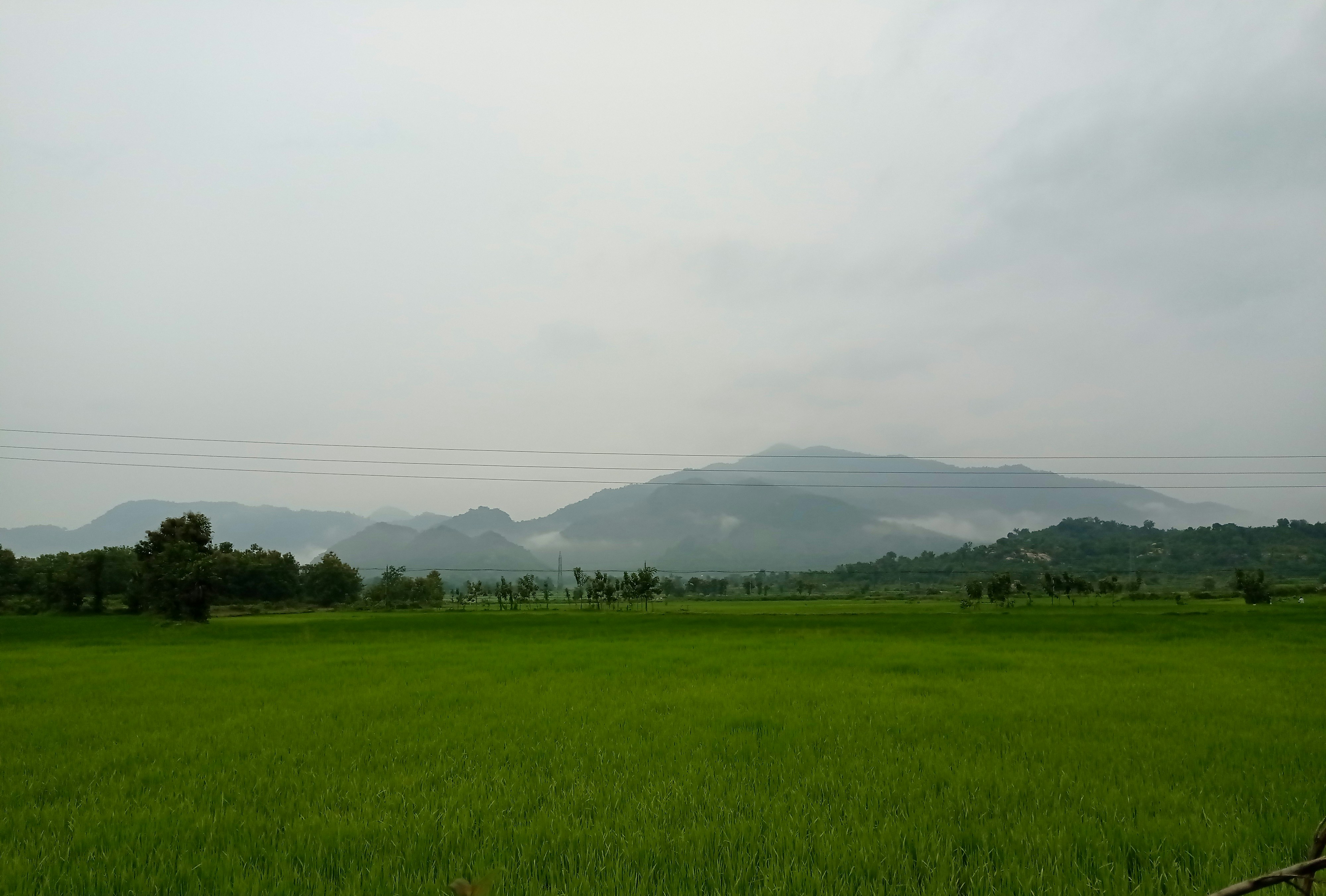 Madhav Karunya (@madhav_karunya)  Unsplash Photo Community