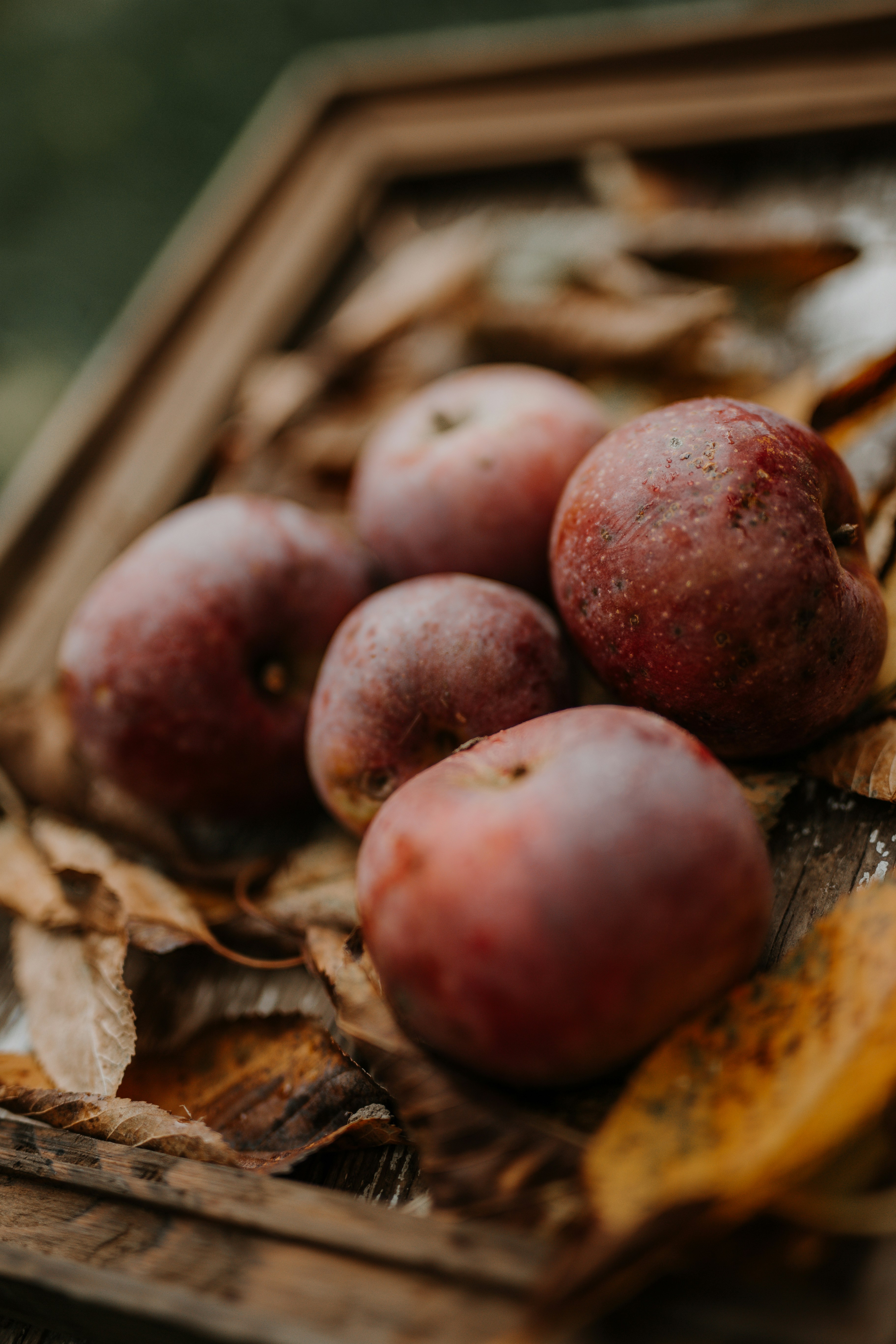 Photo by annabellalifestyle