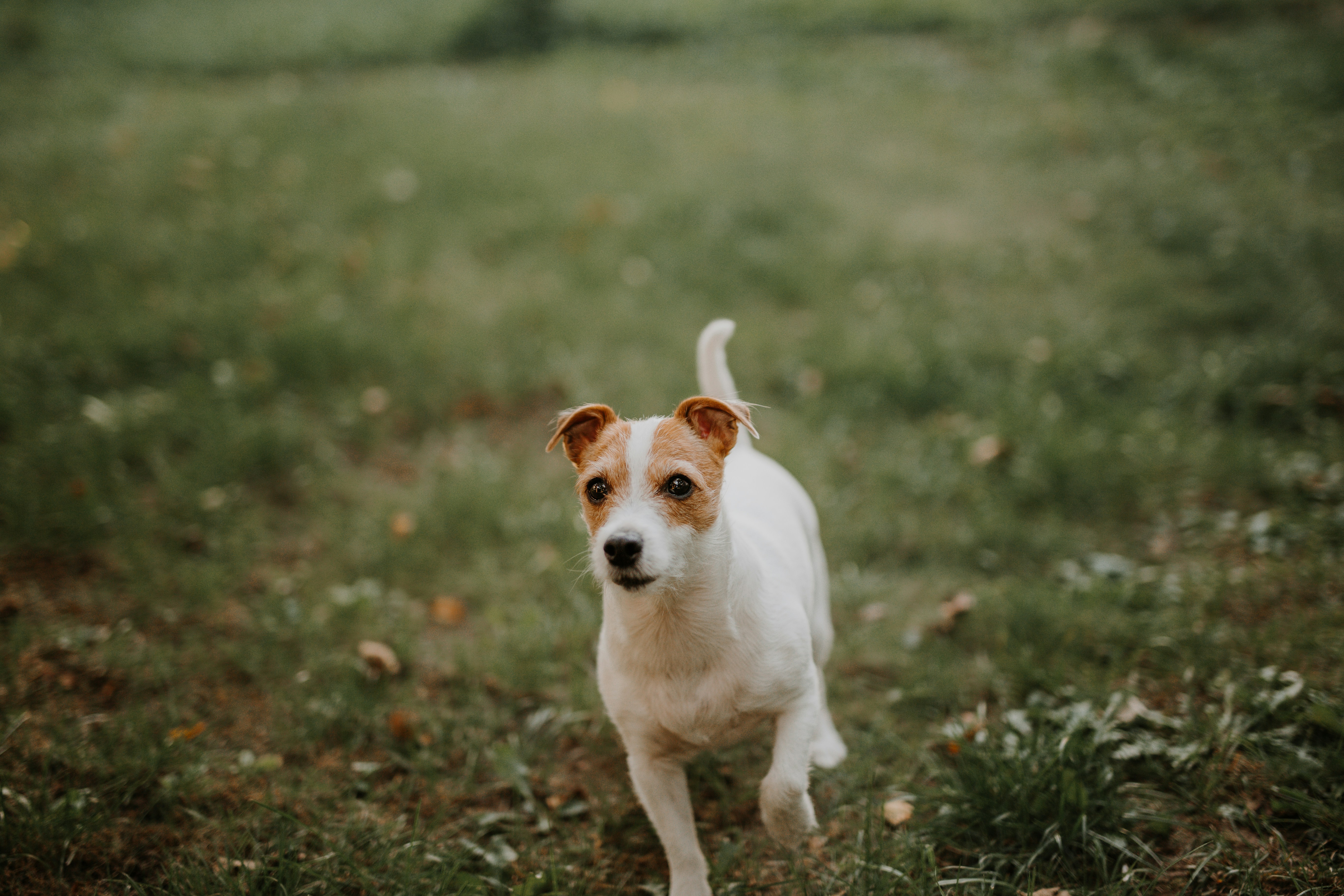 Photo by annabellalifestyle