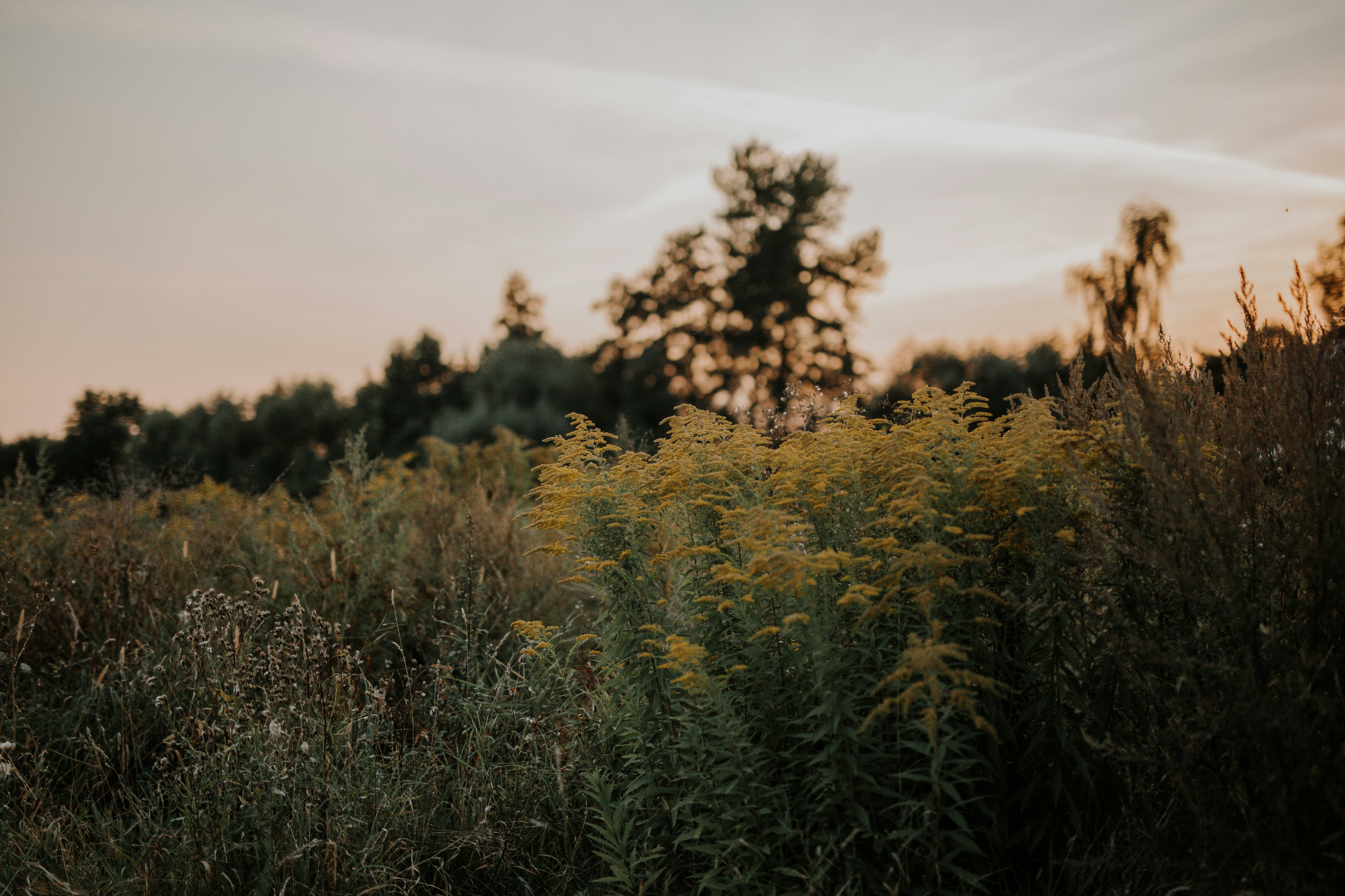 Photo by annabellalifestyle