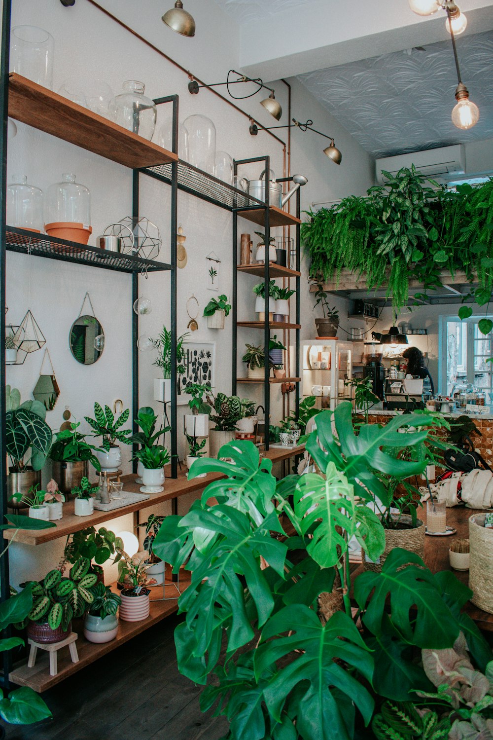 green plants on brown wooden table