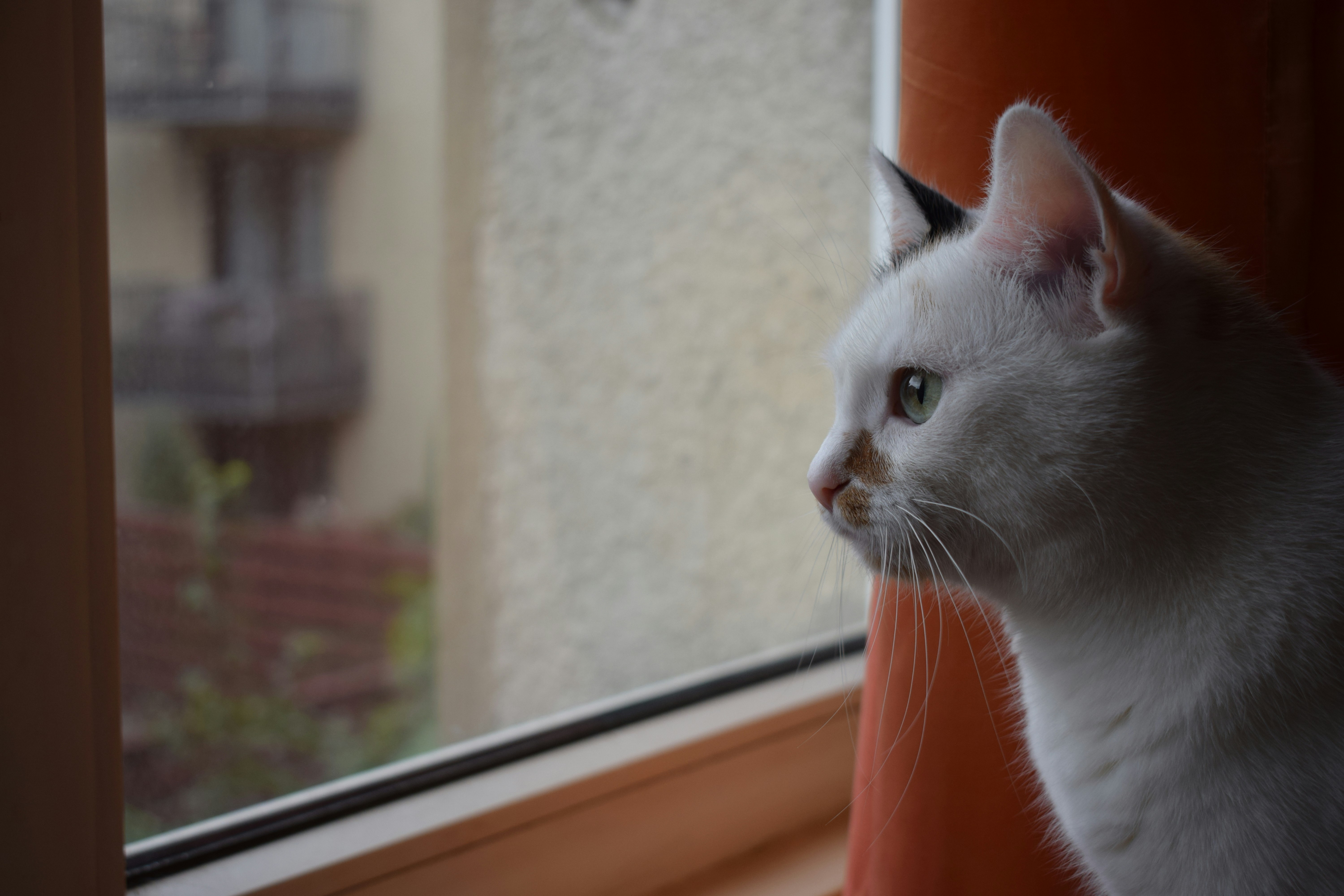 Photo by angelakatona