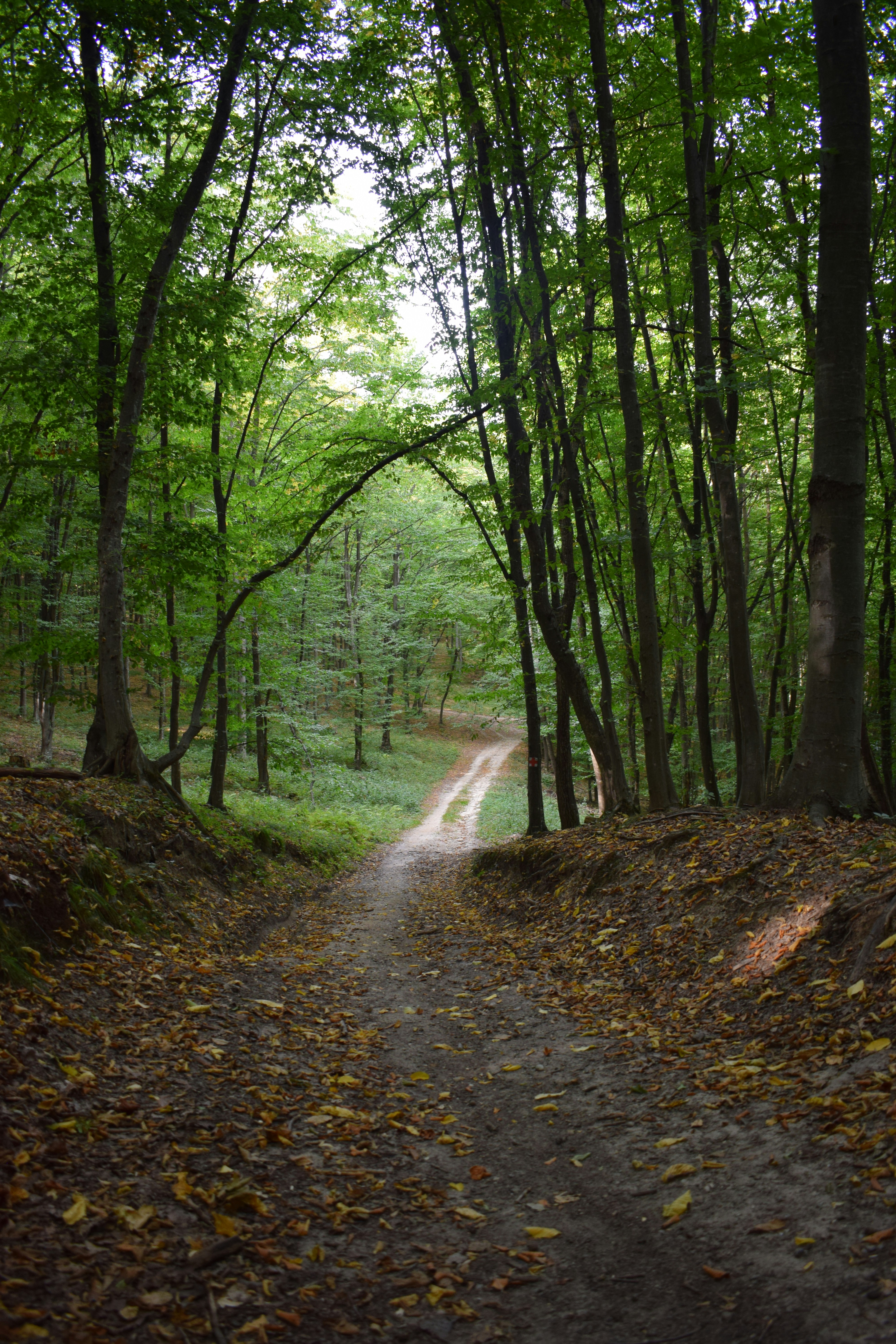 Photo by angelakatona