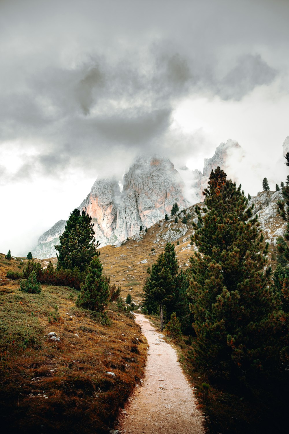 alberi verdi vicino alla montagna sotto il cielo nuvoloso durante il giorno