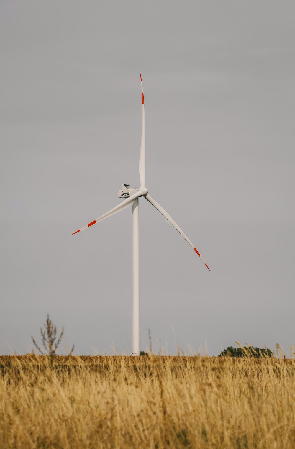 white wind turbine on brown grass field under gray cloudy sky