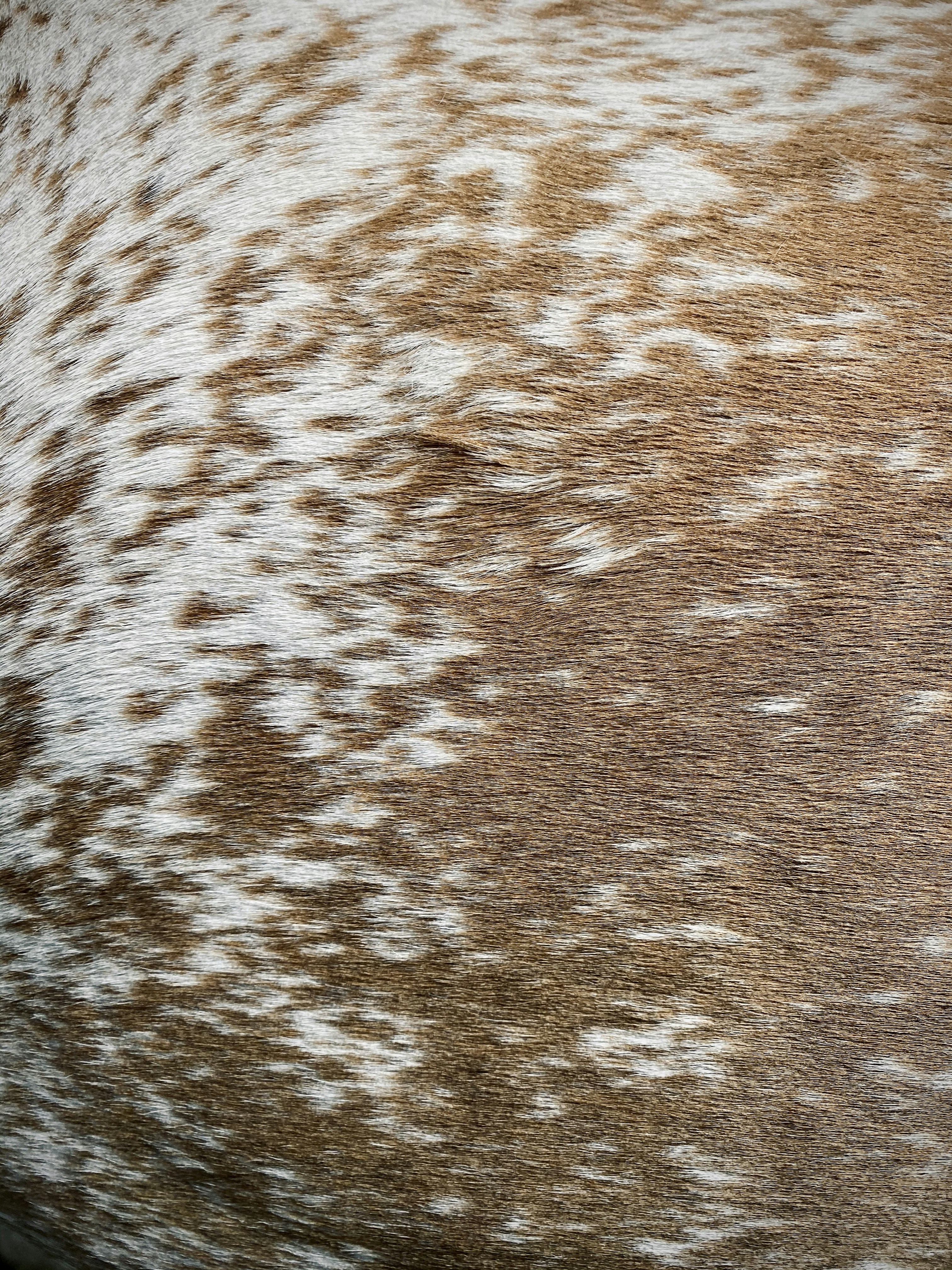 Photo by arnosenoner