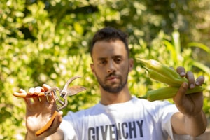 Verdantia Garden Helper