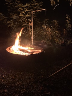 A campfire burning in a fire pit surrounded by pebbles with a metal grilling apparatus nearby. In the background, there are leafy bushes partially illuminated by the fire's glow against a dark night sky.