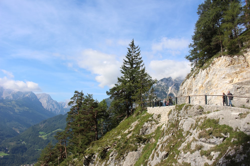 green pine trees on mountain under white clouds during daytime