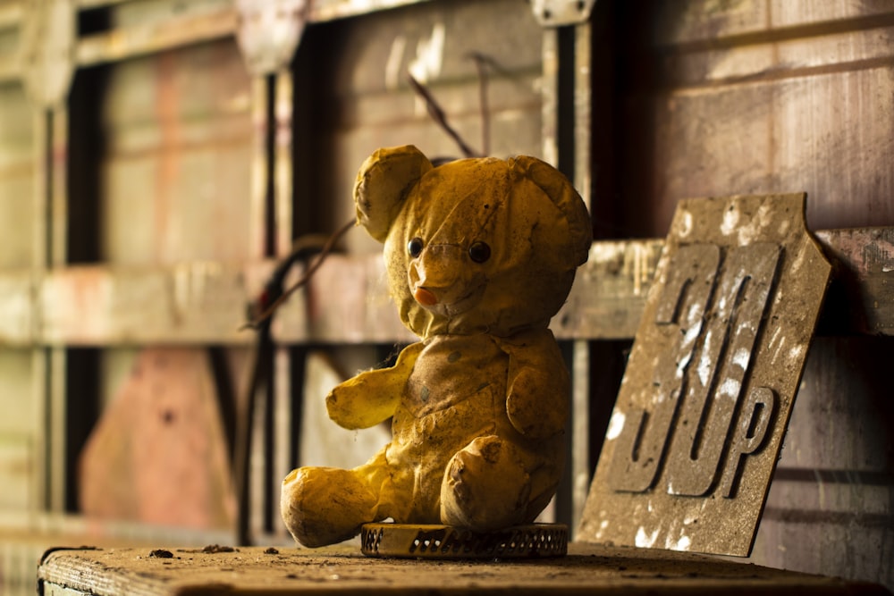 brown bear plush toy on brown wooden bench