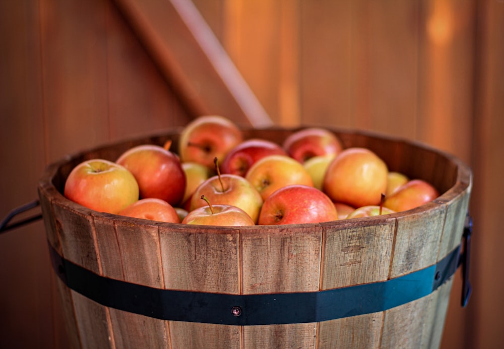 brown round fruits on blue and brown wooden bucket