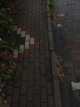 A brick pathway with a mix of red, brown, and beige bricks, bordered by concrete edging. There are patches of grass and foliage growing near the edges. Water is visible, possibly indicating rain or a wet surface.