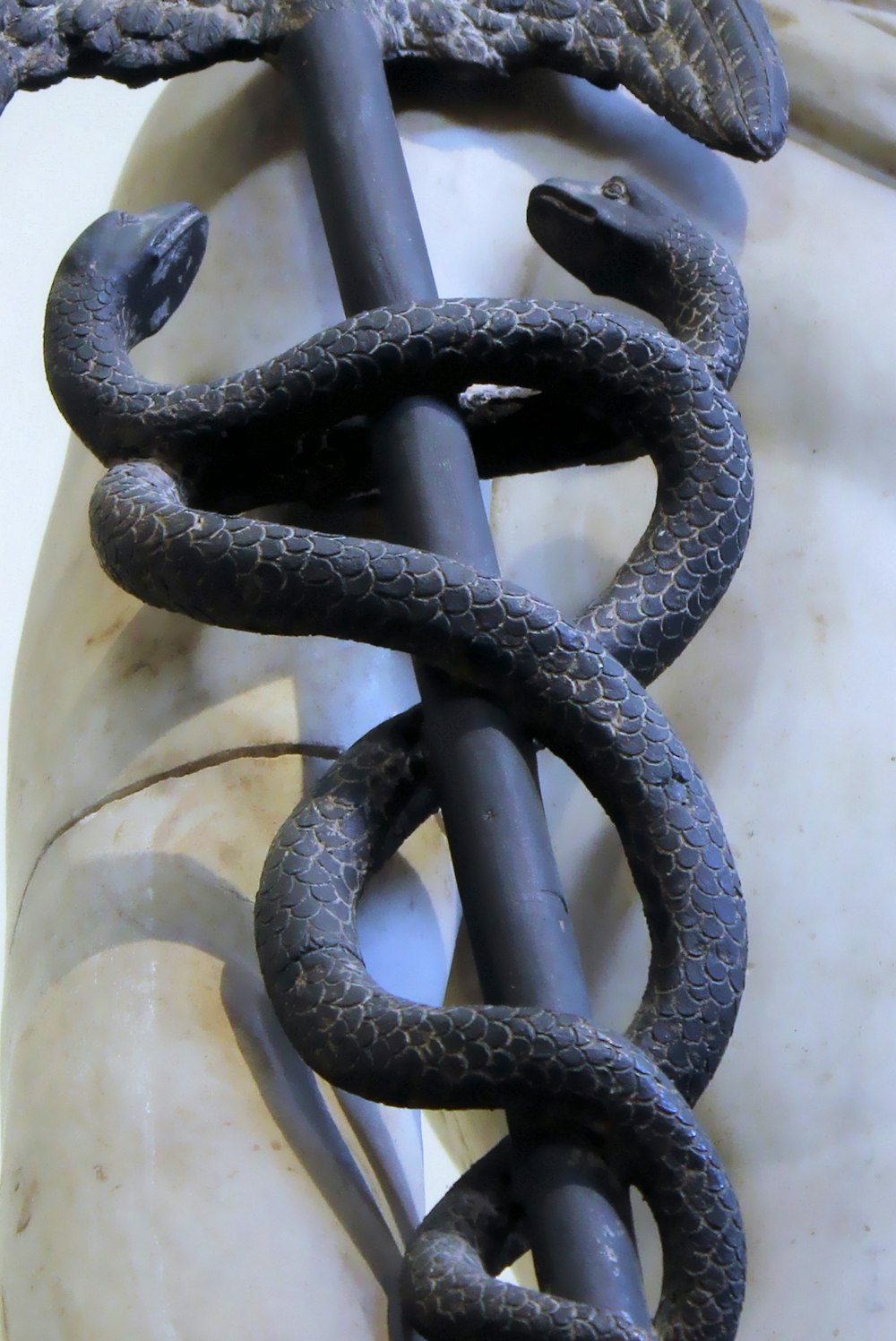 black and white snake on white textile