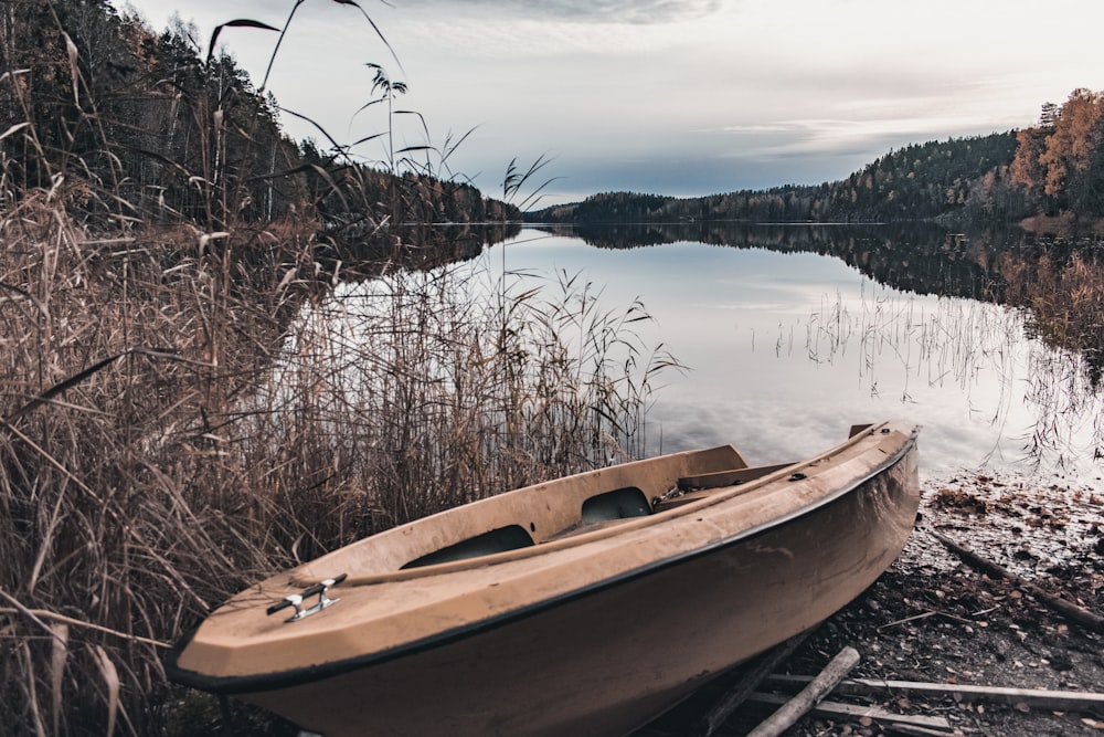 brown and white boat on lake during daytime