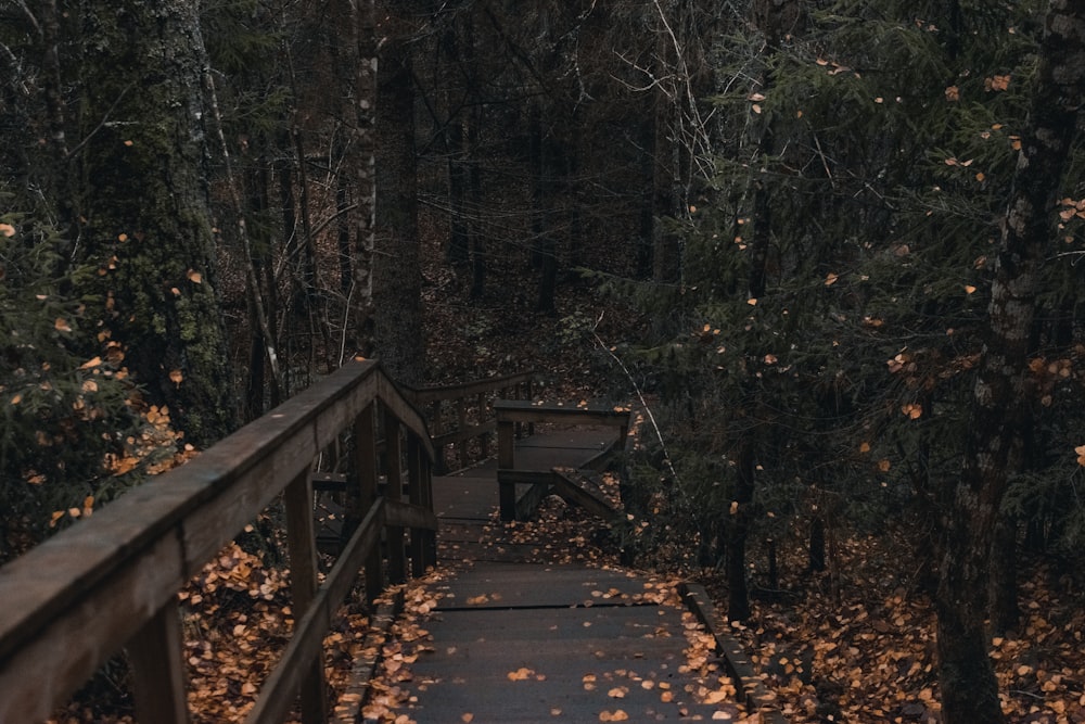 brown wooden bridge in forest