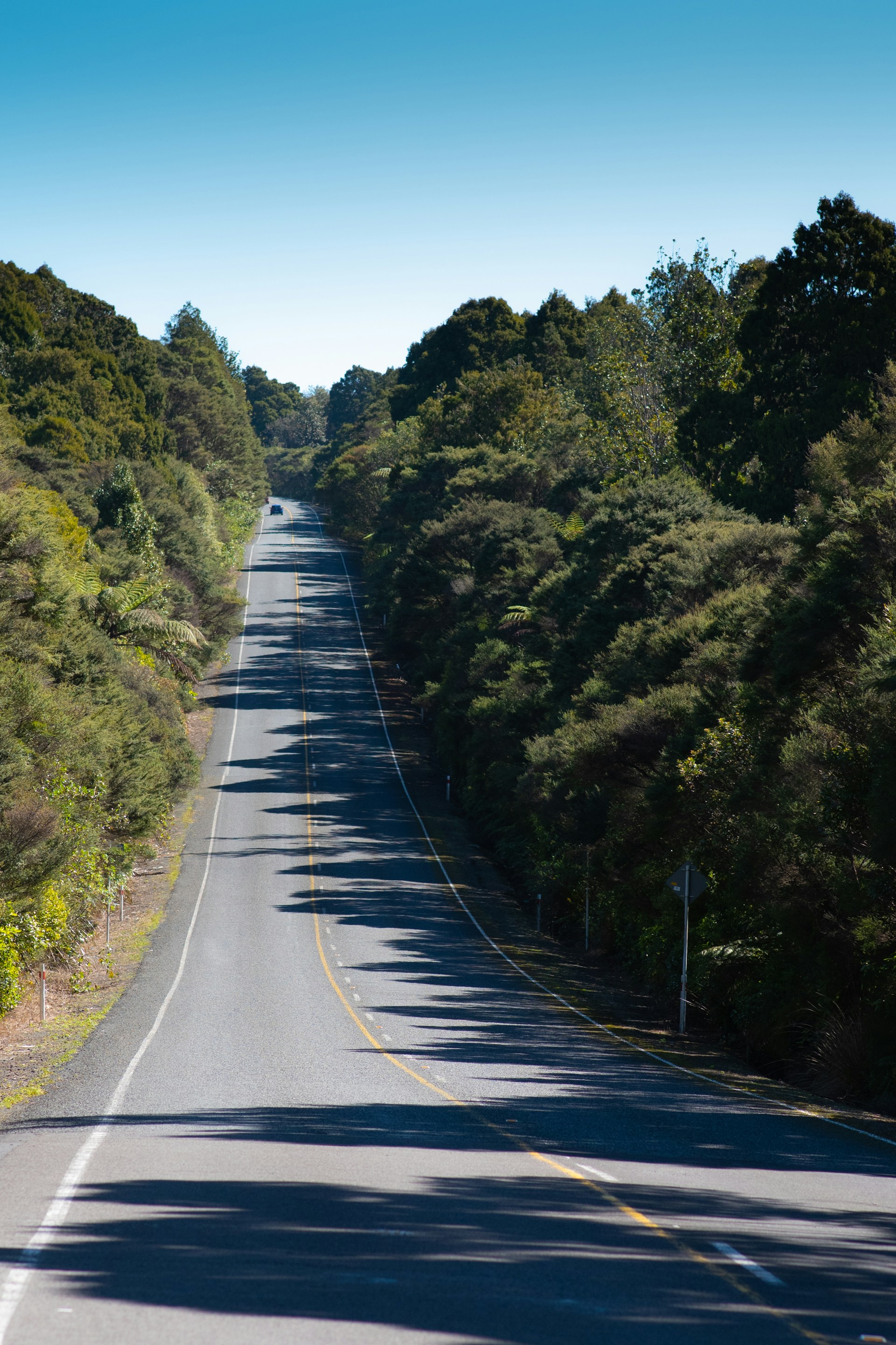 gray concrete road between green trees during daytime