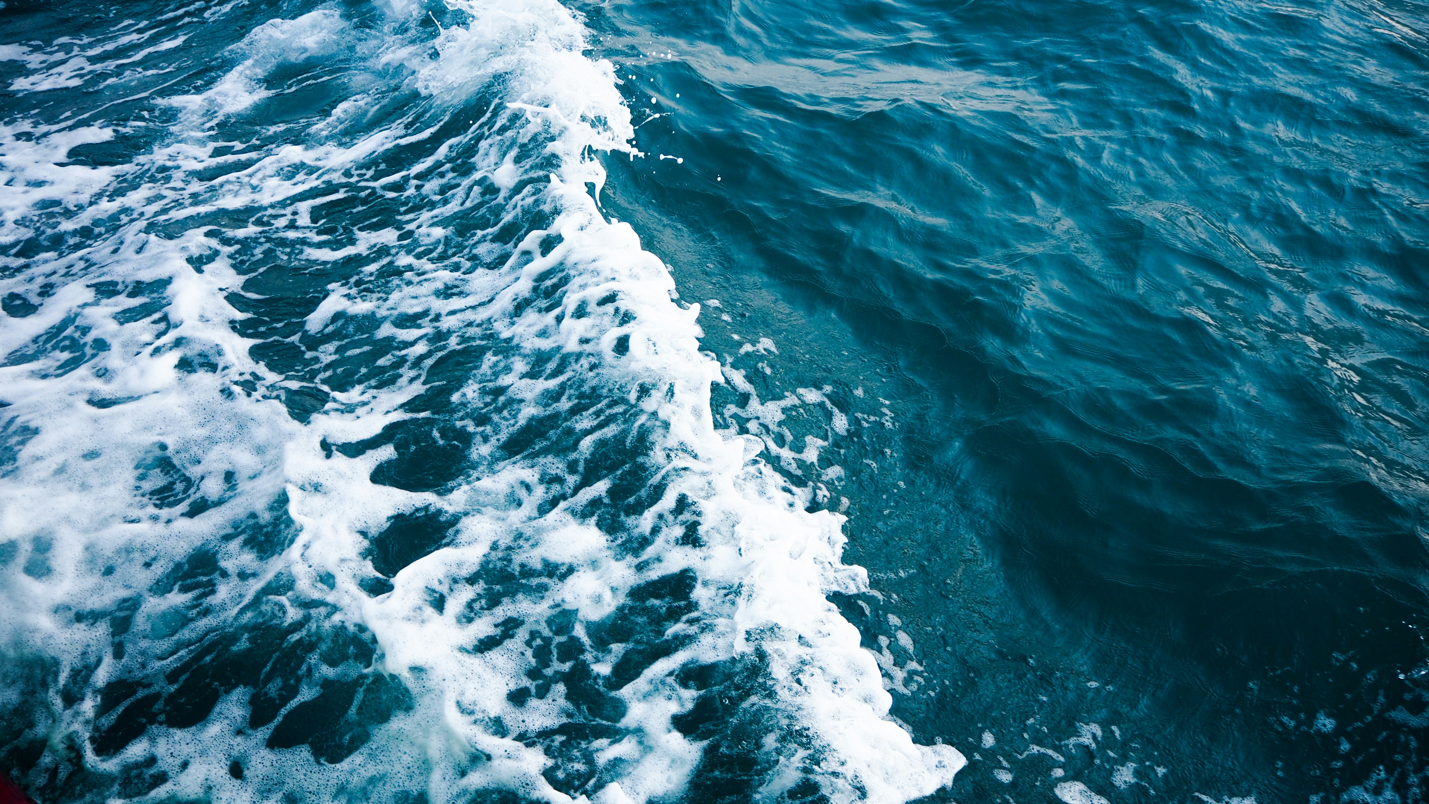 Photo by sunwindrain