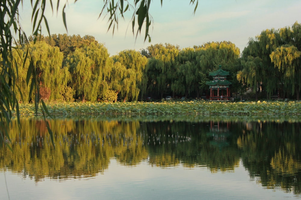 green trees beside body of water during daytime