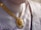 A close-up view of an ornate gold necklace with intricate designs and colorful gemstones, worn by a person dressed in a traditional garment with intricate patterns.