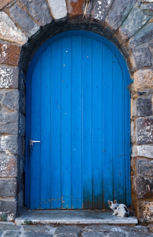 A large, arched, blue wooden door is set within a rustic stone wall composed of variously sized and colored stones. A small white and gray kitten is sitting on the stone doorstep in front, looking towards the camera.