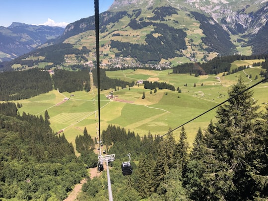 cable car over green grass field during daytime in Titlis Switzerland