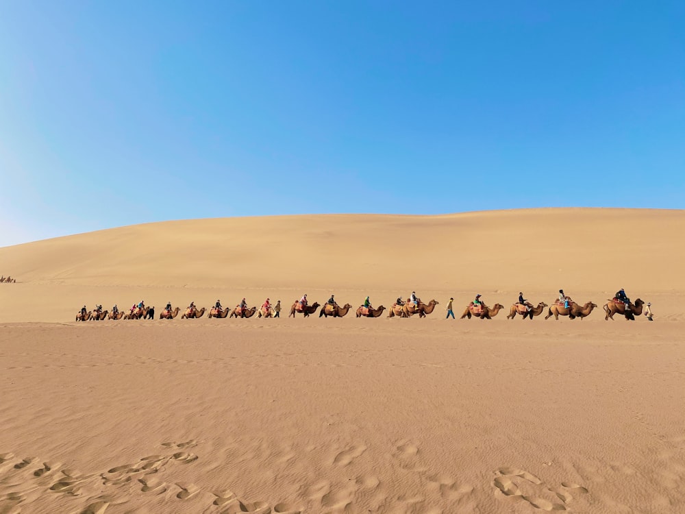 brown sand under blue sky during daytime