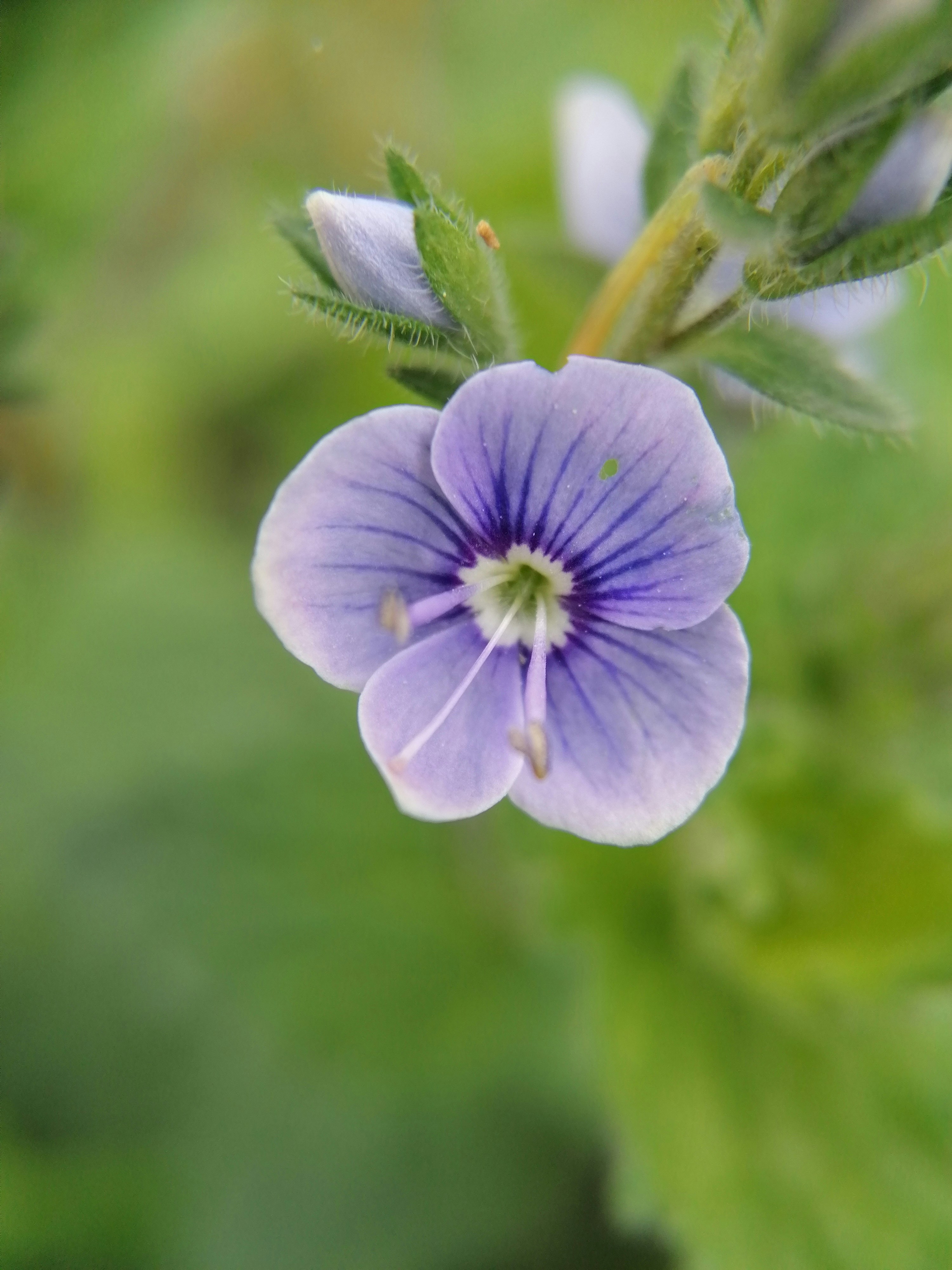 Photo by care_free_flea