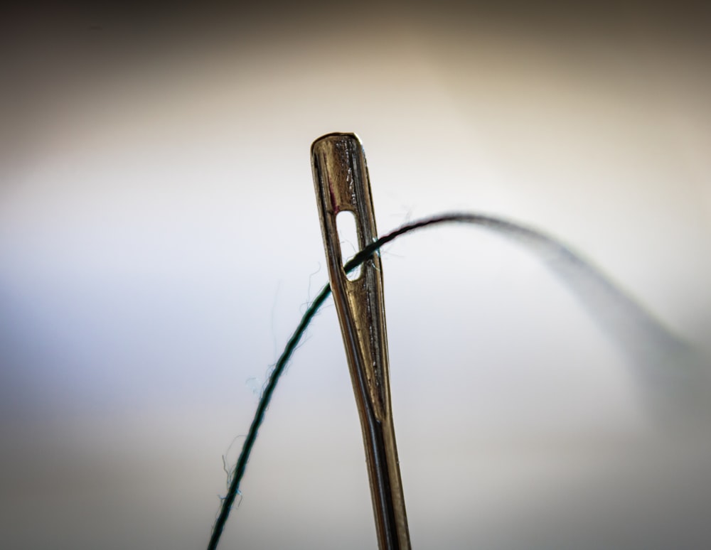 Needle And Thread Pictures  Download Free Images on Unsplash
