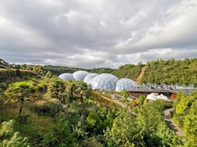A lush landscape featuring large, geodesic dome structures surrounded by dense greenery and palm trees. Rolling hills covered in forests stretch across the background under an overcast sky.