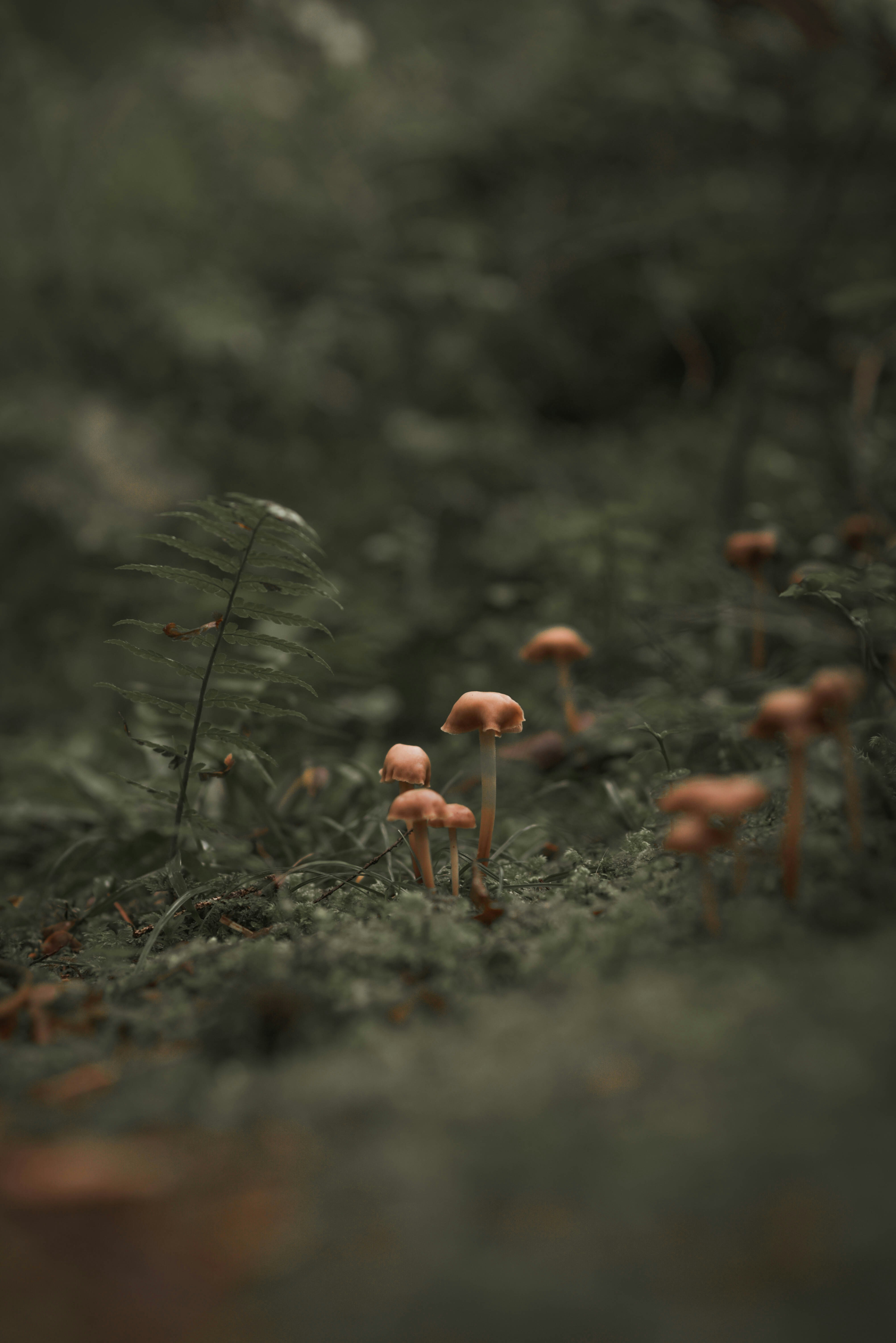 Photo by sven_pieren