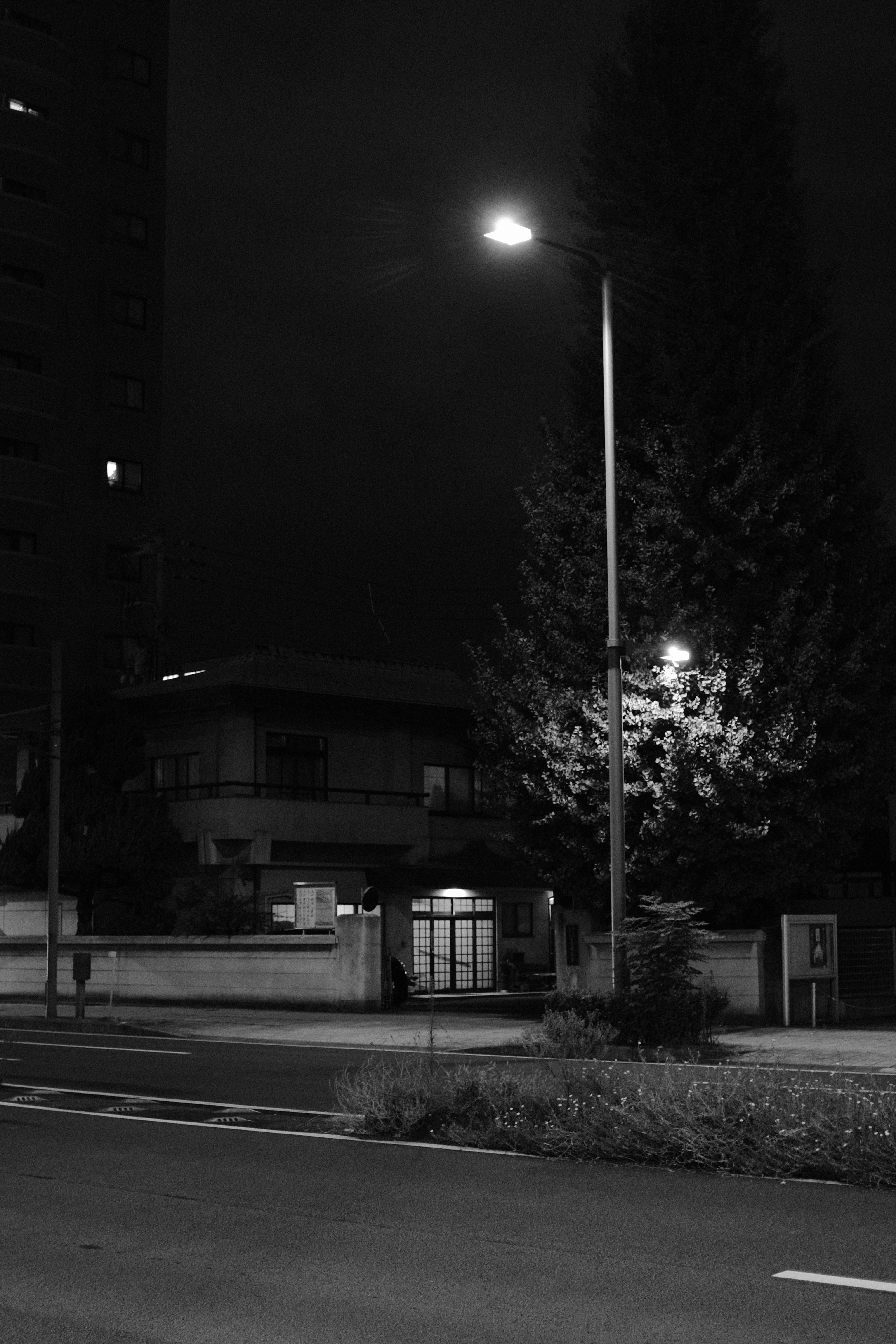 Photo by mak_jp