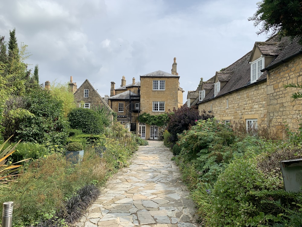 brown brick pathway between green plants and brown concrete houses under white clouds and blue sky