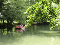 Tourists enjoying a peaceful paddleboat ride under the shade of tall trees.
