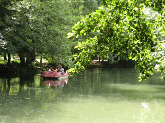 Tourists enjoying a peaceful paddleboat ride under the shade of tall trees.