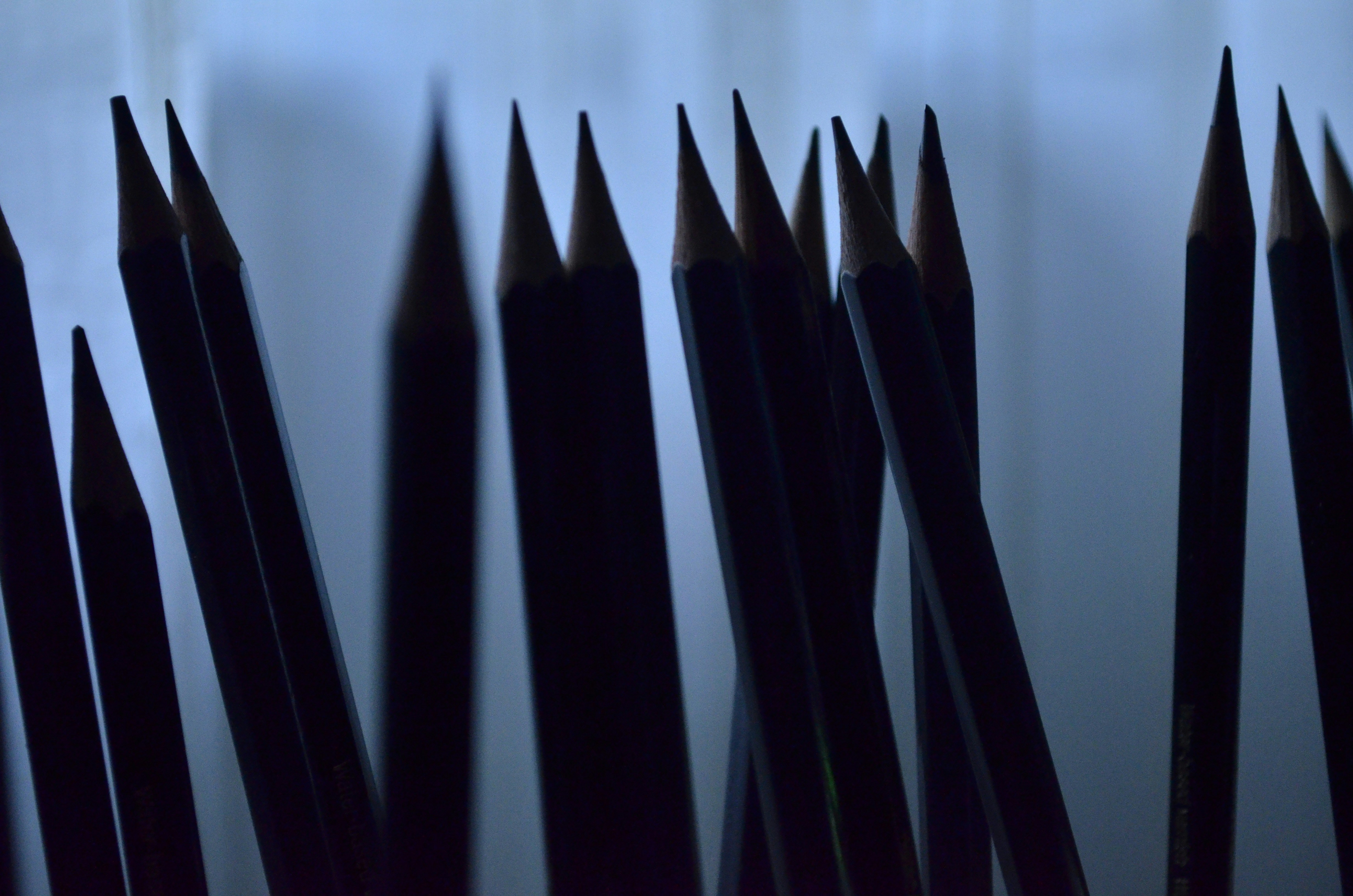 Photo by angela_pompermaier