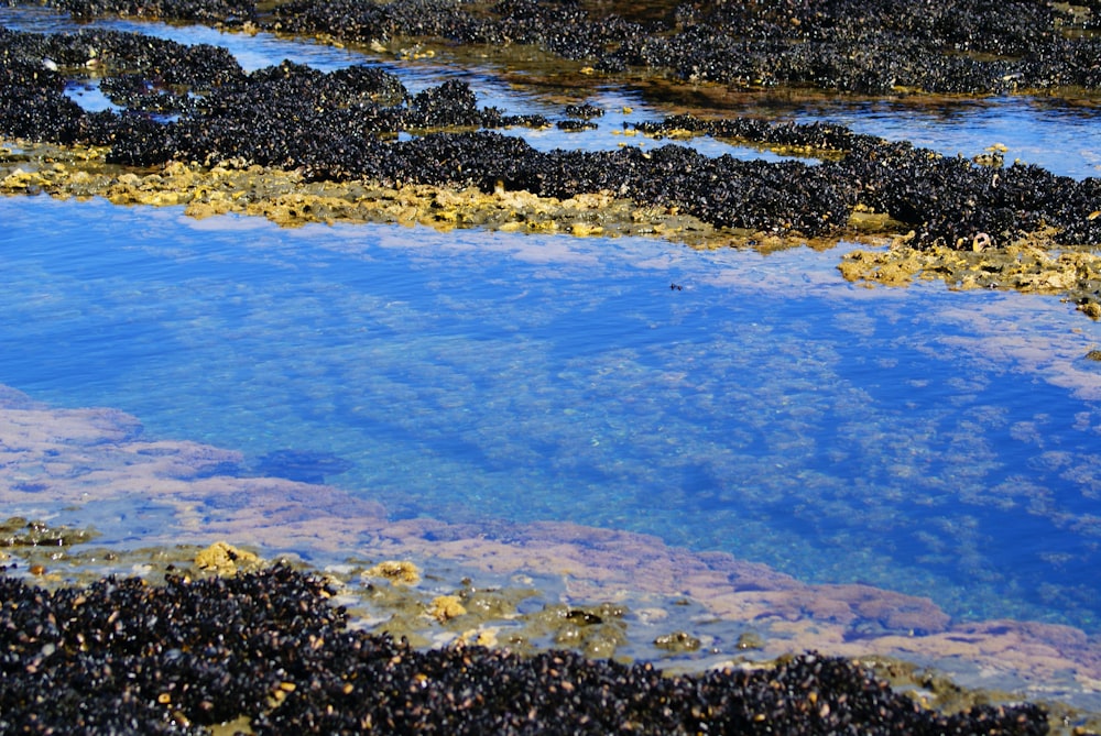 Eau bleue sur roches noires