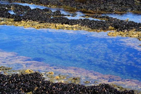 blue water on black rocks in Chubut Argentina