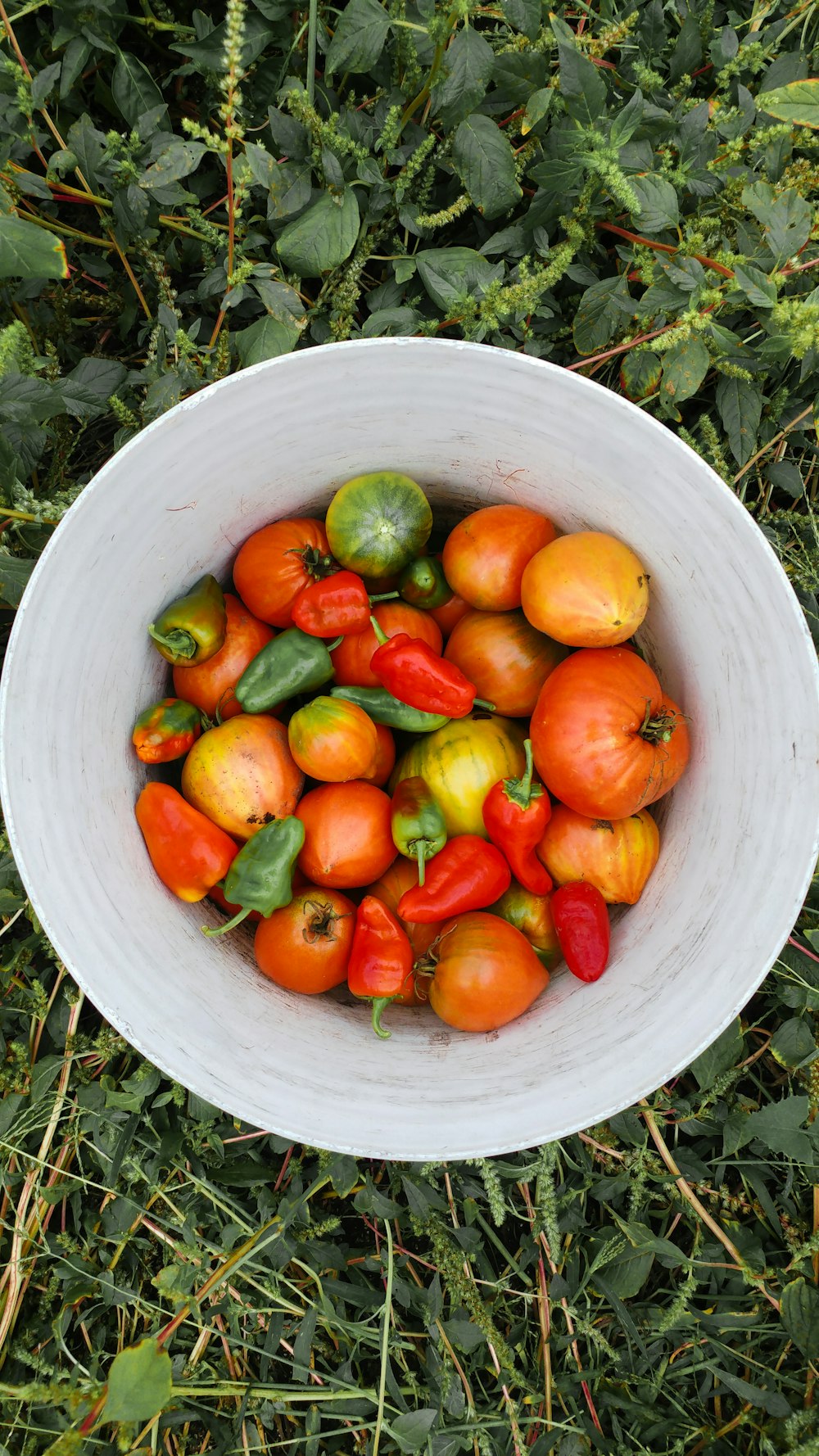 red and green bell peppers in white bucket