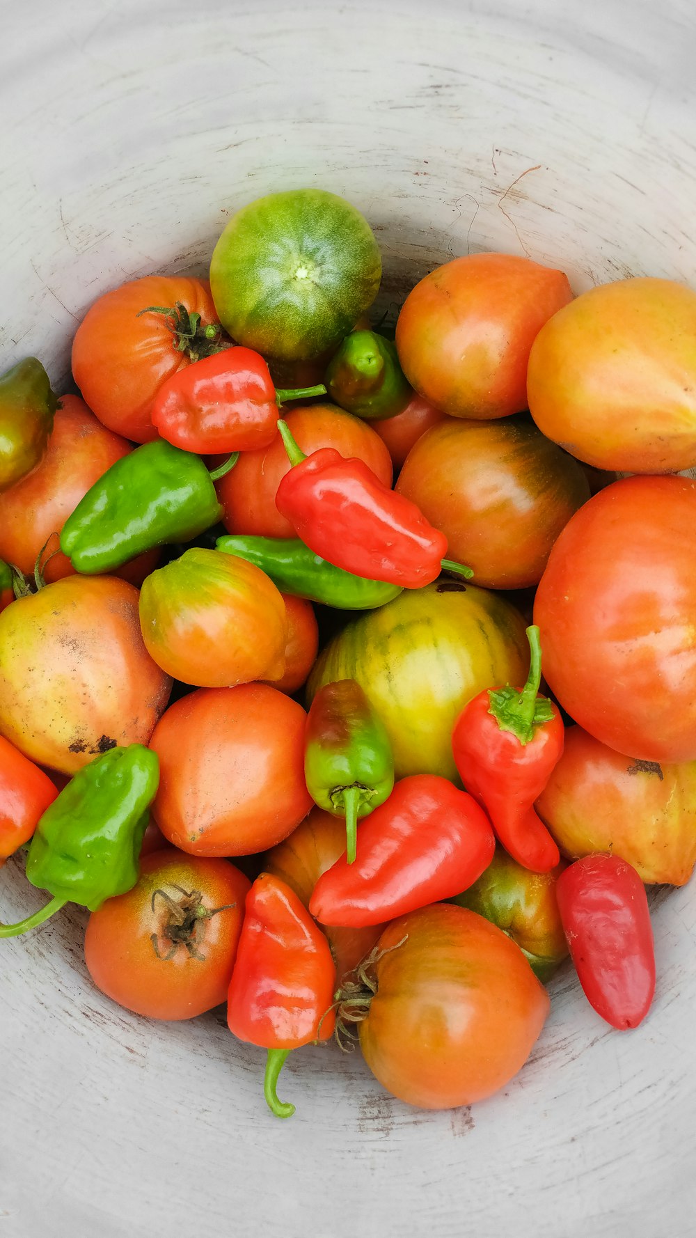 red and green tomato fruits