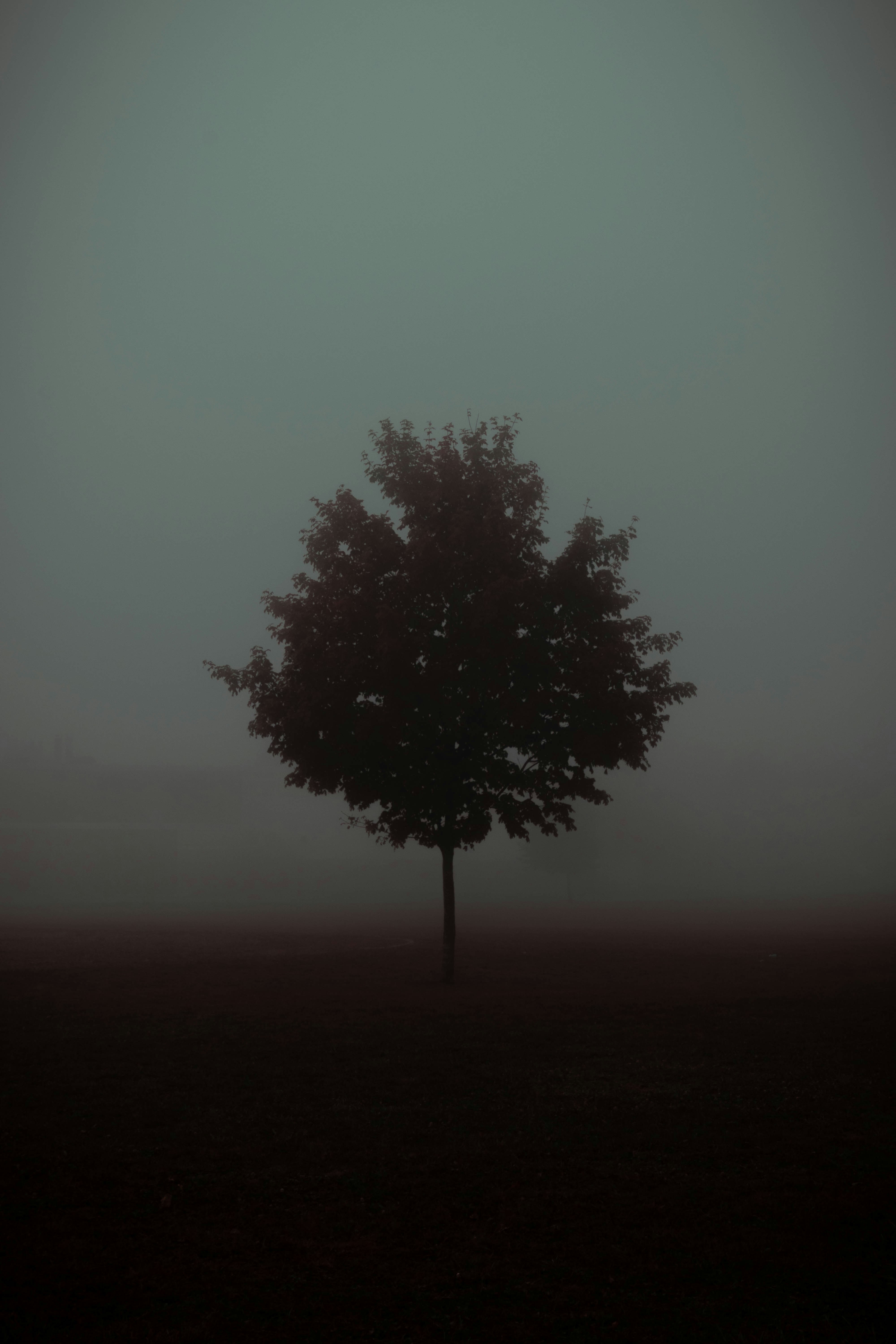 Les mythes autour de