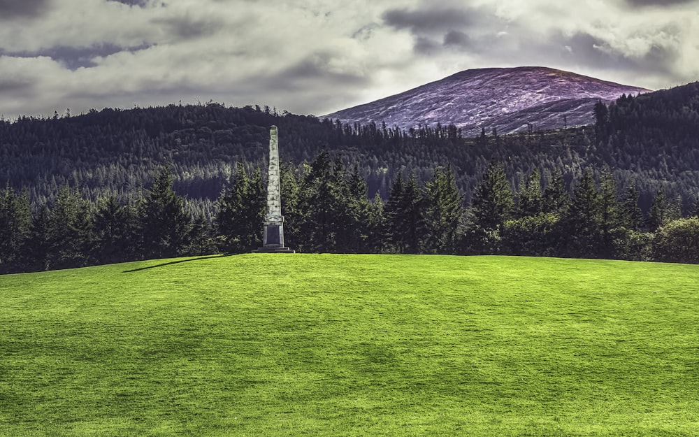 Grünes Grasfeld in der Nähe von grünen Bäumen und Bergen unter bewölktem Himmel tagsüber