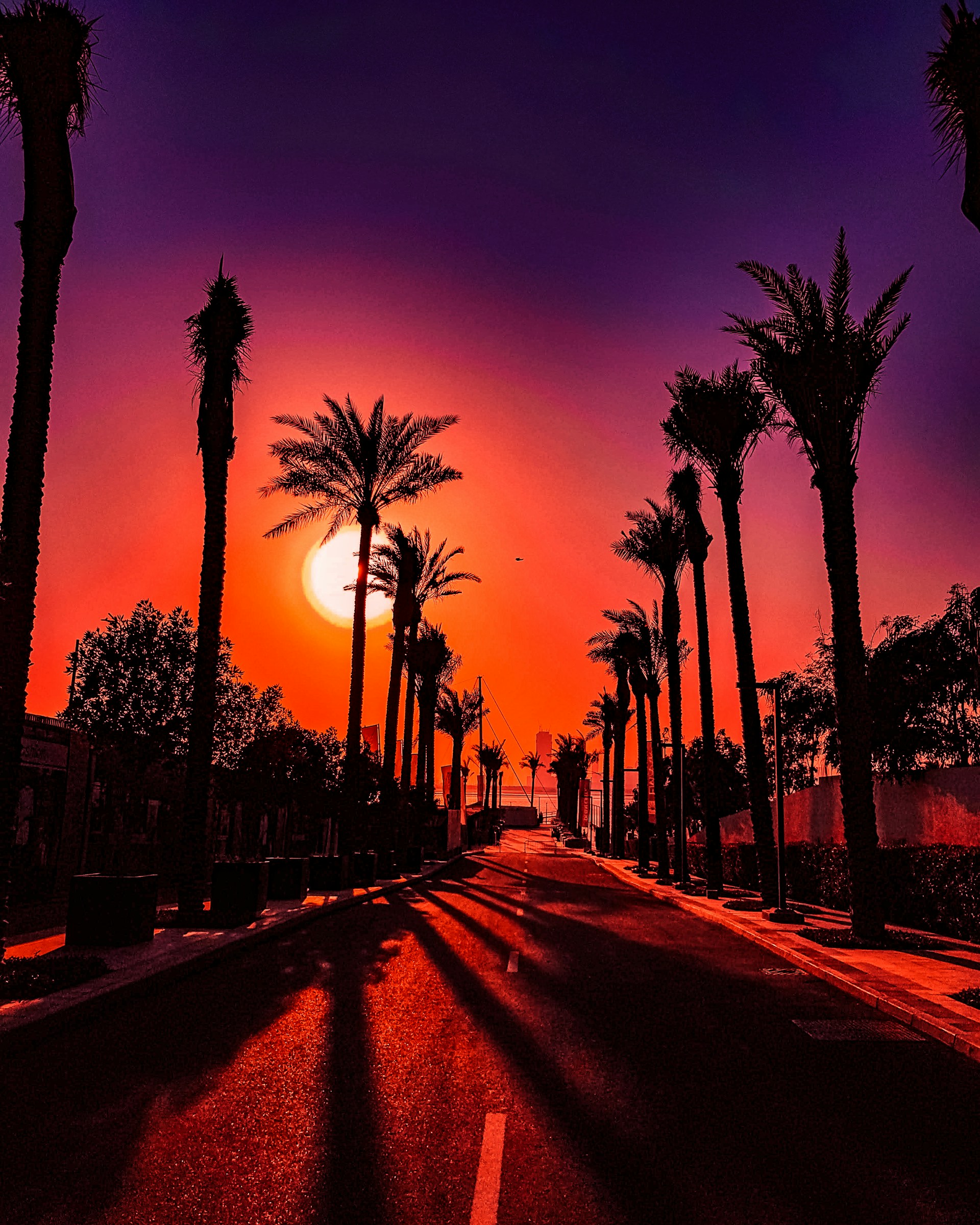 the sun is setting behind palm trees on the street