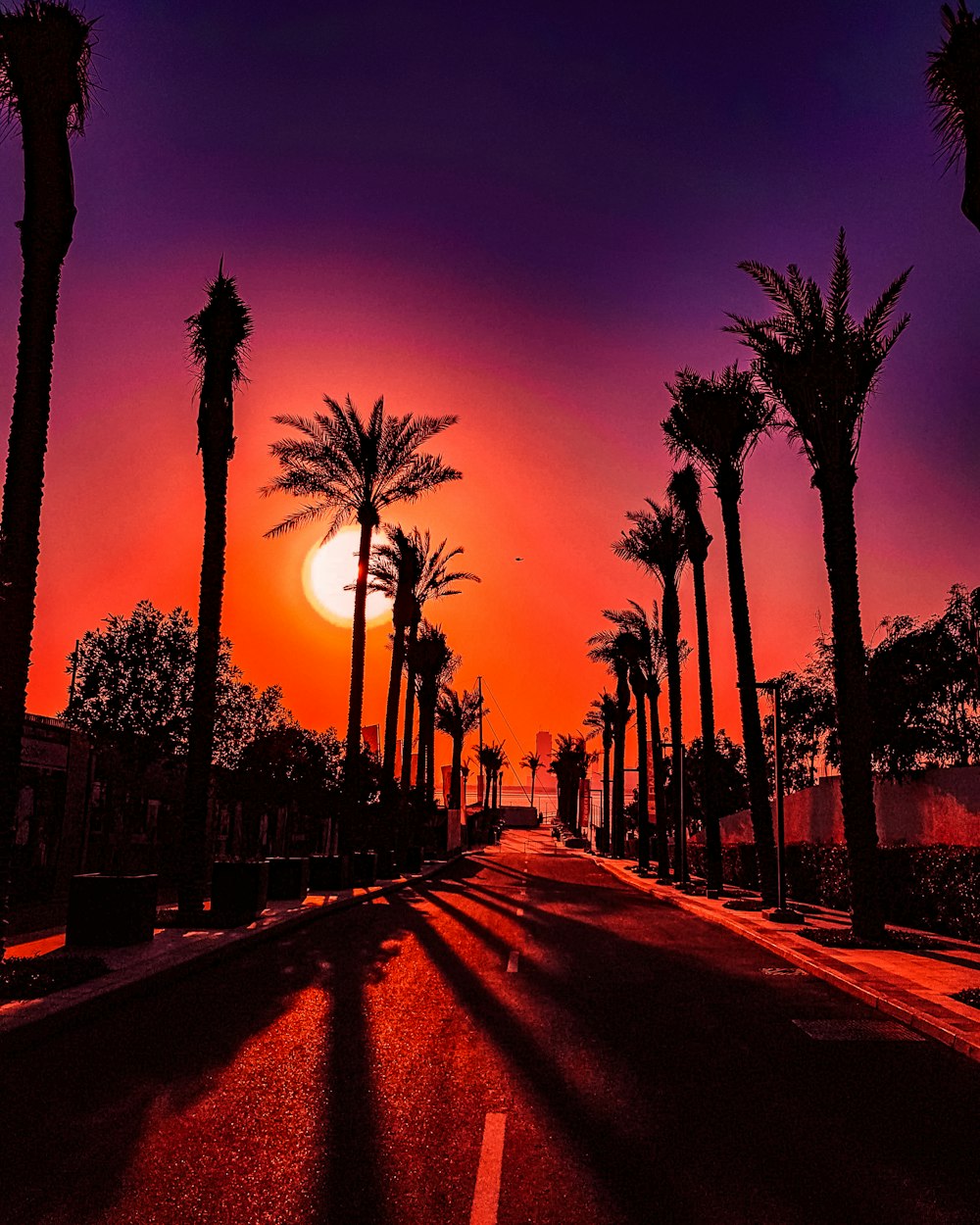 the sun is setting behind palm trees on the street