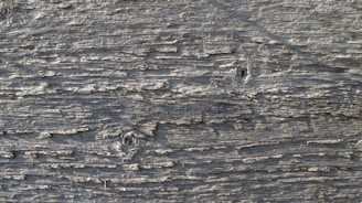 Close-up of weathered wooden exterior panels with visible grain and knots.