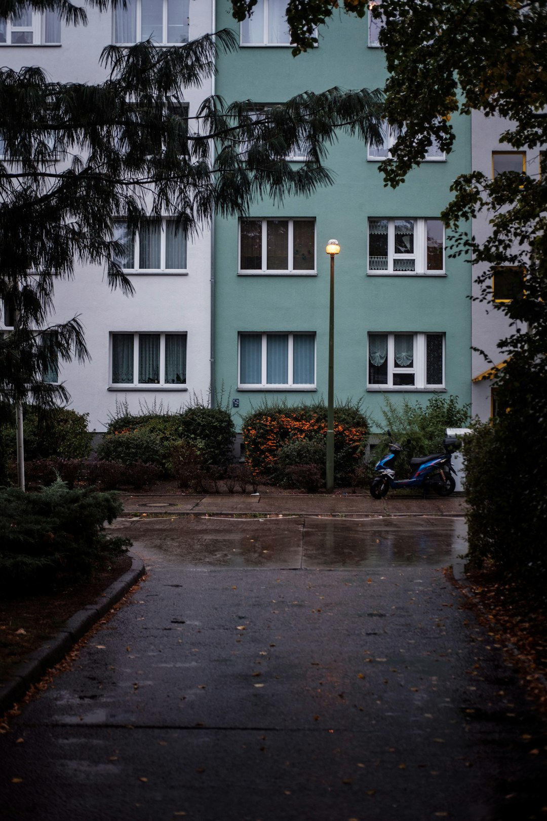 white concrete building with green trees