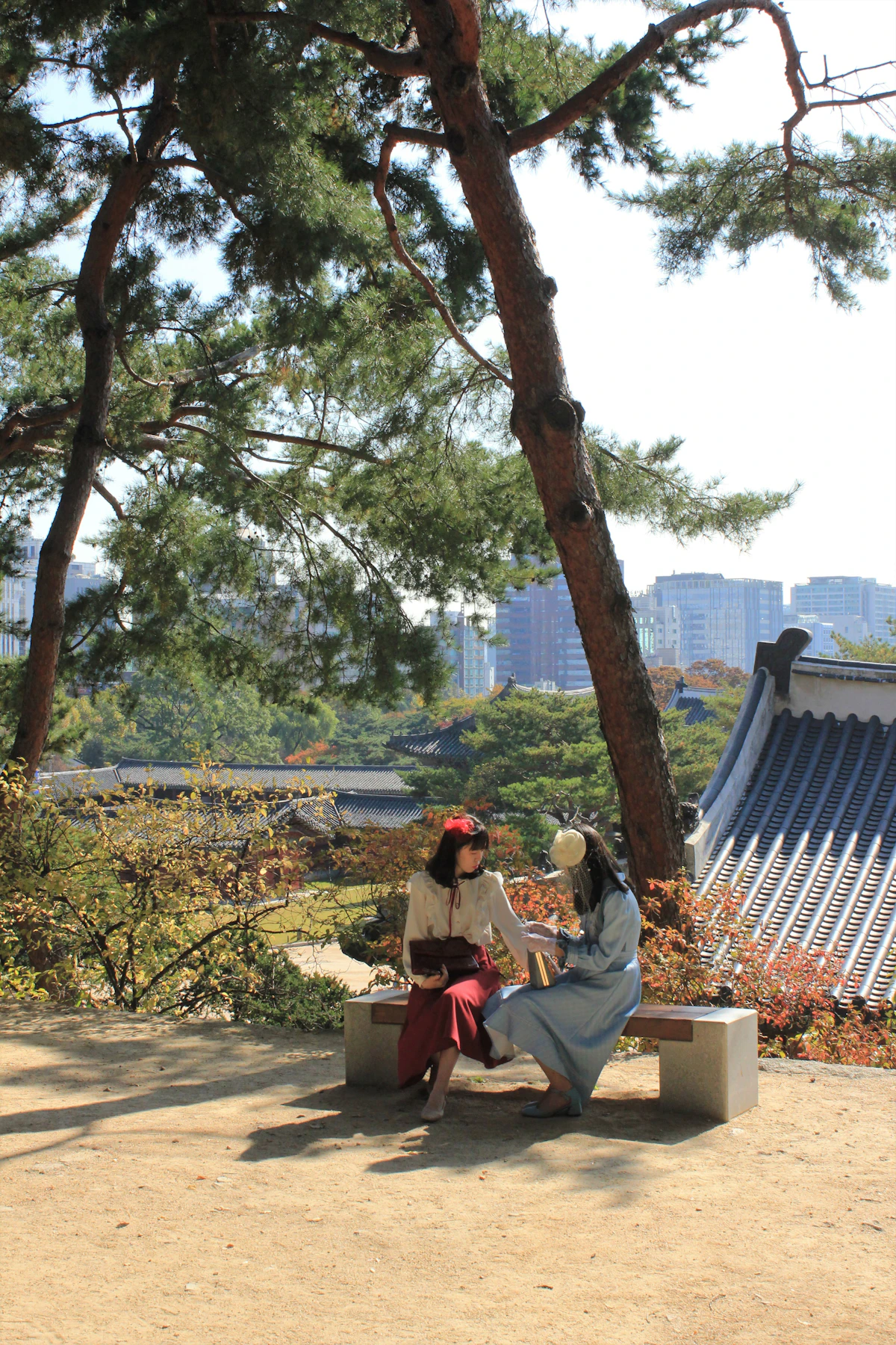 A person sitting on a bench in Seoul, South Korea: a quiet park scene