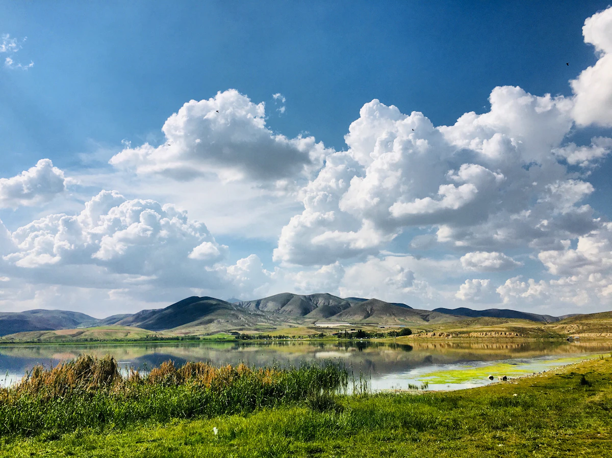 The Nordic environment our programs protect