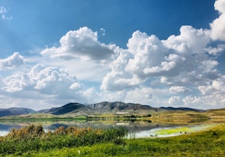 green grass field near lake under white clouds and blue sky during daytime