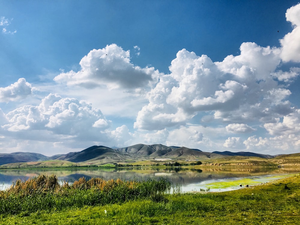 green grass field near lake under white clouds and blue sky during daytime