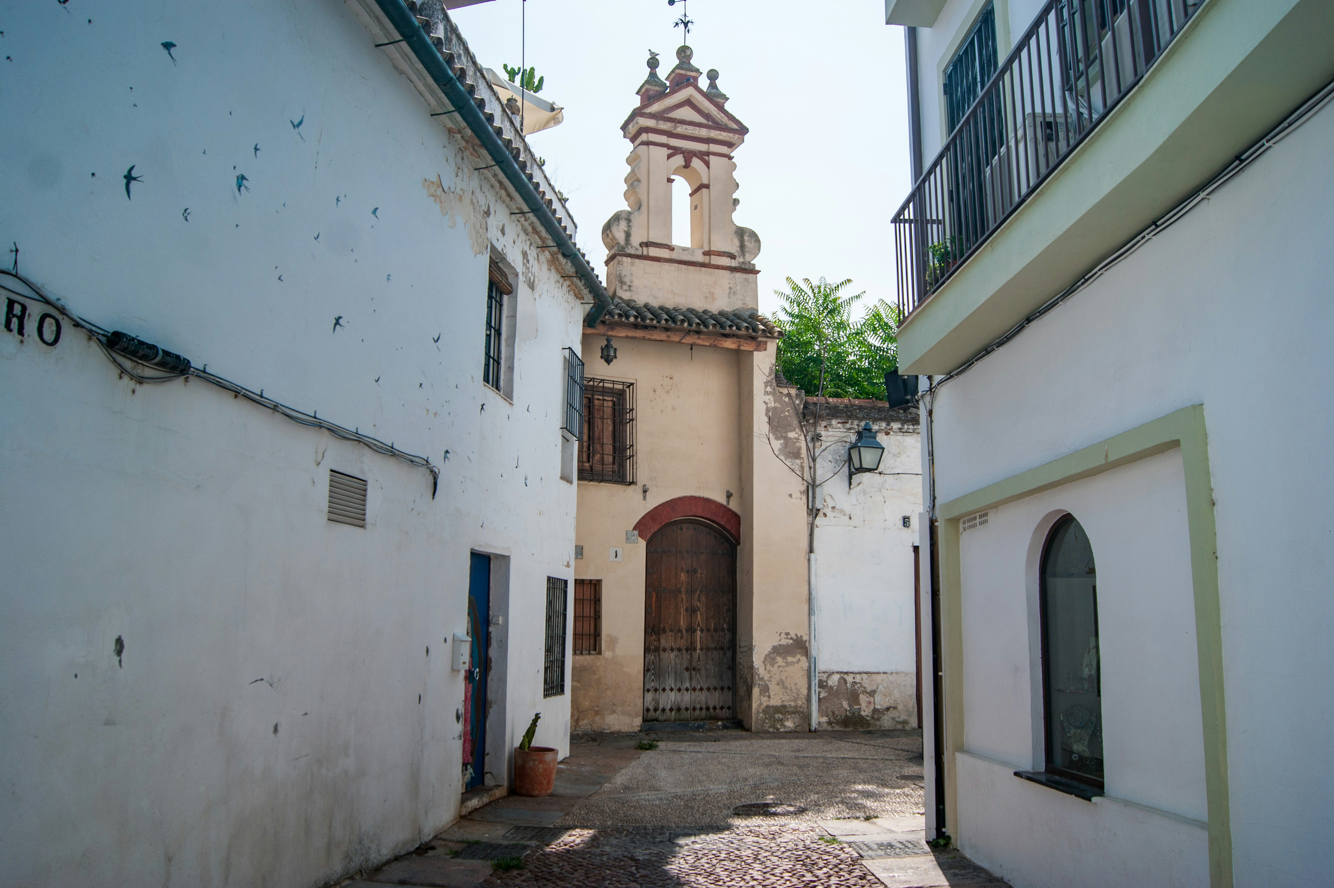 Photo by jbonunsplash